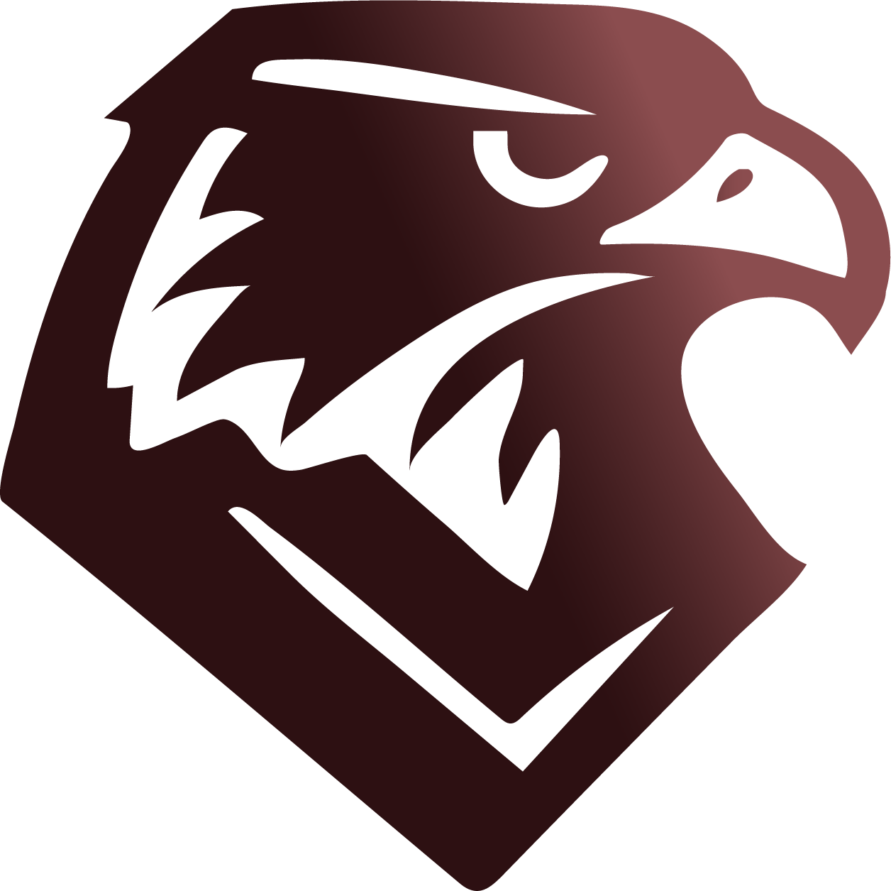 شهم الوطنية للحلول المالية